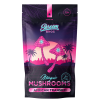 African Transkei Magic Mushroom