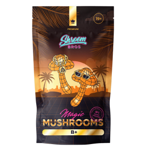 B+ Magic Mushrooms