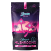 Florida White Magic Mushroom