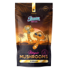Iceberg Magic Mushrooms