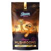 Panaeolus Cyanescens Magic Mushroom