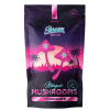 Stargazer Magic Mushroom