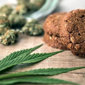Cannabis