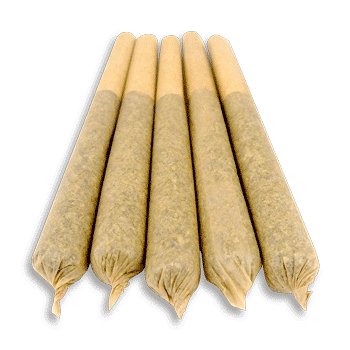 CBD Pre-Rolls – Northern Lights (5-Pack) - Image 2